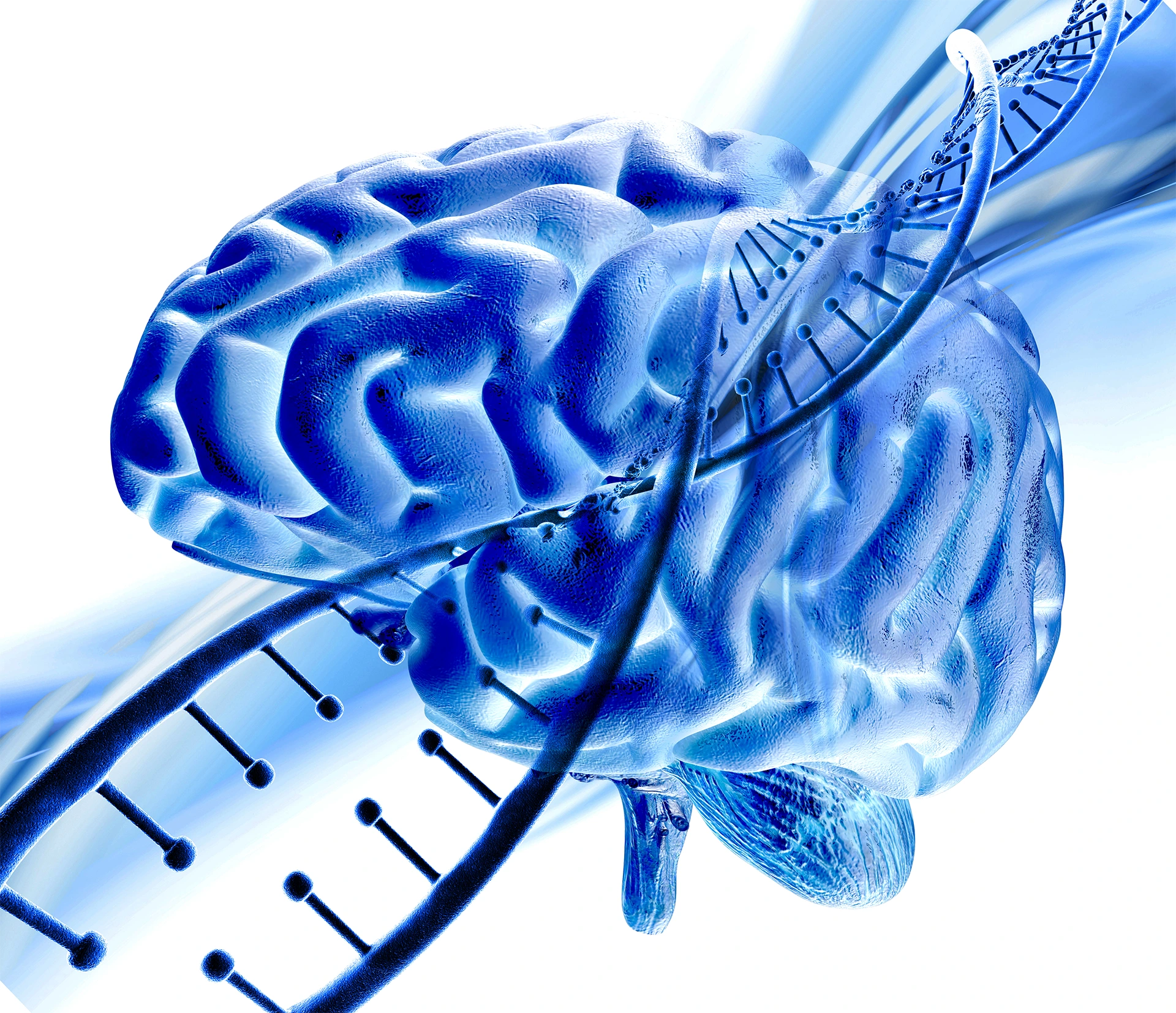Neurosurgery & Spine