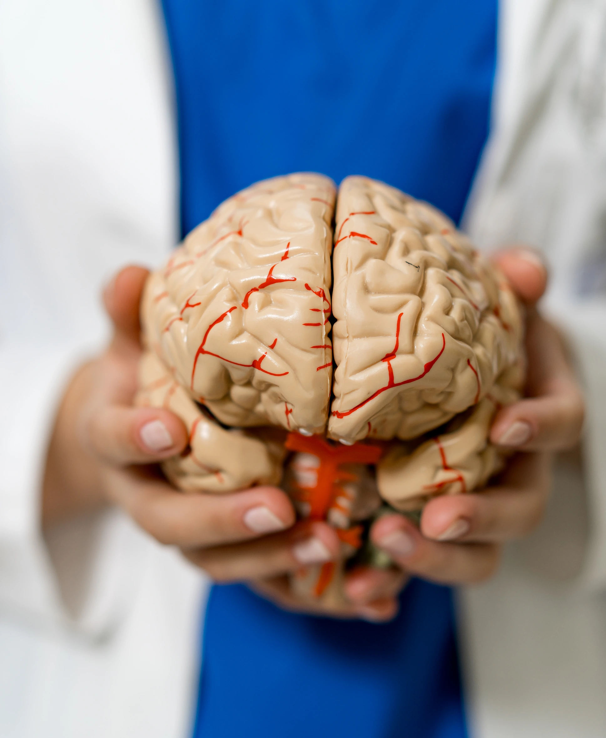 Neurophysiology